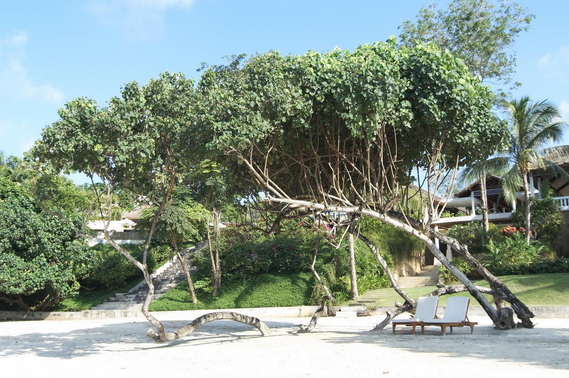 Chandara Resort & Spa, Phuket - Sha Plus Esterno foto